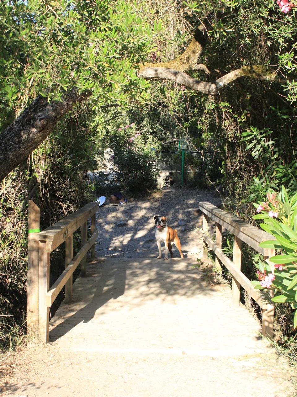 Apartamentos Casa Gil El Bosque Dış mekan fotoğraf