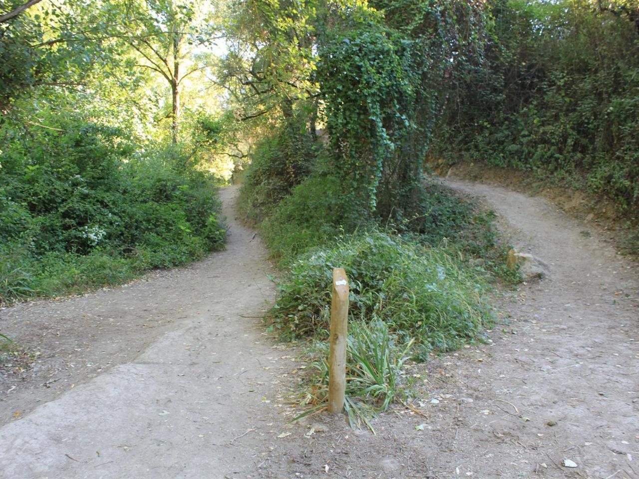 Apartamentos Casa Gil El Bosque Dış mekan fotoğraf