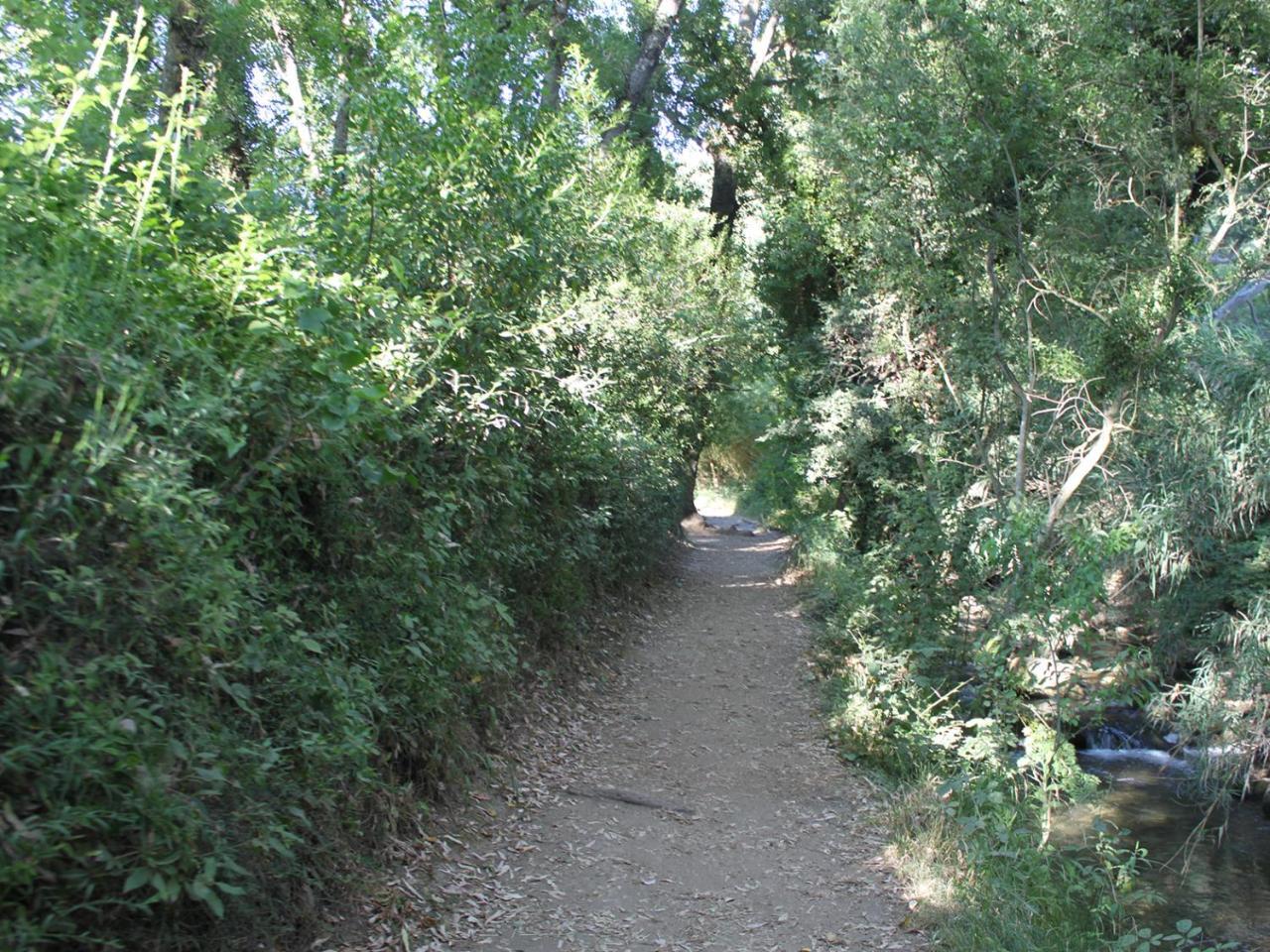Apartamentos Casa Gil El Bosque Dış mekan fotoğraf