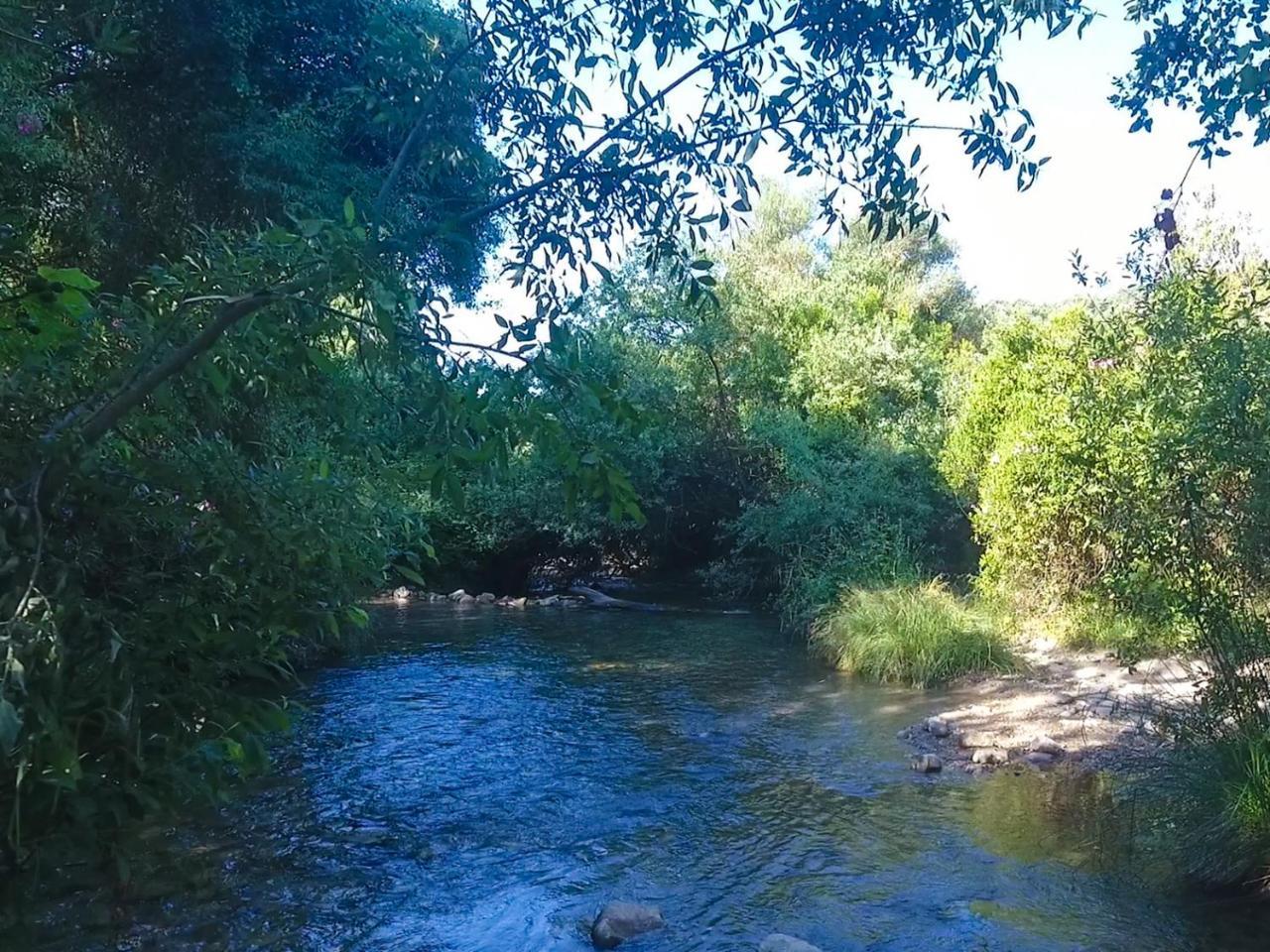 Apartamentos Casa Gil El Bosque Dış mekan fotoğraf